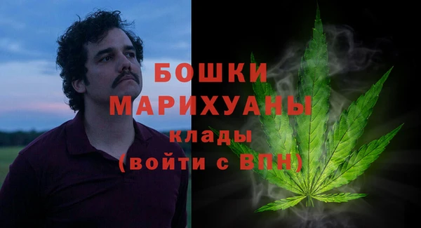 прущая мука Ельня