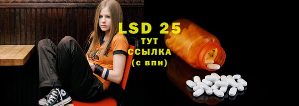 PSILOCYBIN Заволжск