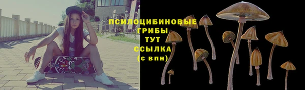 прущая мука Ельня