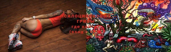 прущая мука Ельня